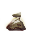 Coin Pouch.png